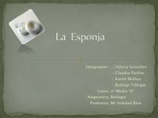 la esponja