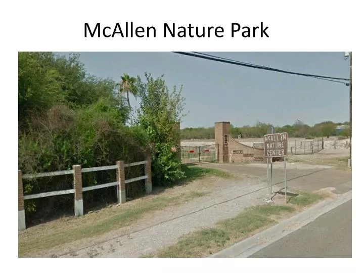 mcallen nature park