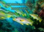 CONSERVATION OF BIODIVERSITY - slide 1