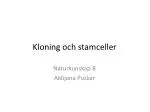 Kloning och stamceller - slide 1