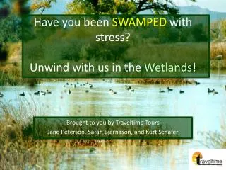 Have you been SWAMPED with stress? Unwind with us in the Wetlands !