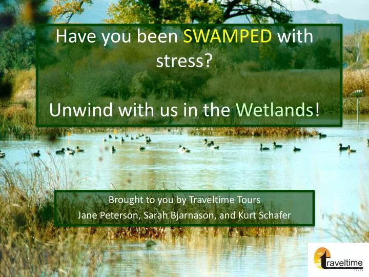have you been swamped with stress unwind with us in the wetlands
