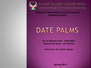 Date Palms