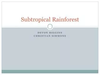 Subtropical Rainforest