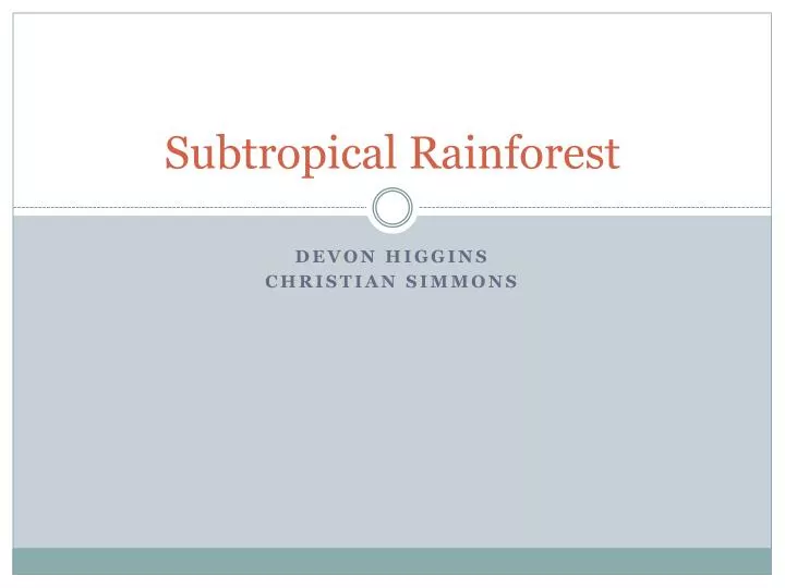 subtropical rainforest