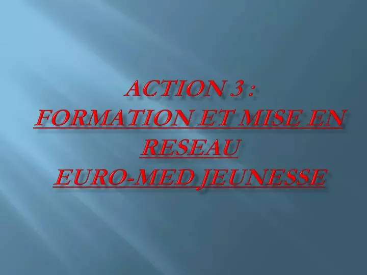 action 3 formation et mise en reseau euro med jeunesse