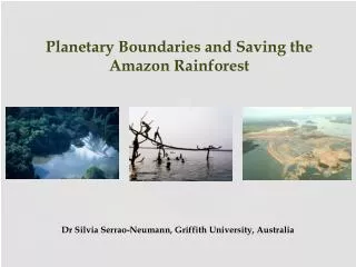 Planetary Boundaries and Saving the Amazon Rainforest