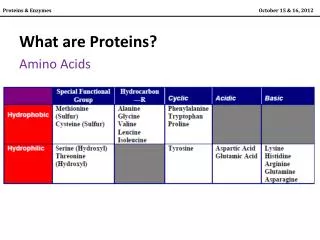 What are Proteins? Amino Acids
