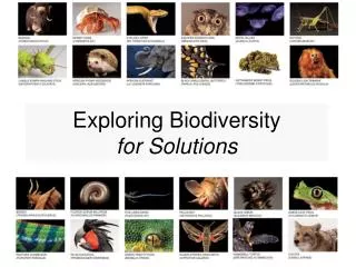 Exploring Biodiversity for Solutions