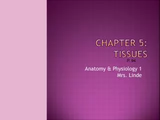 Chapter 5 : Tissues