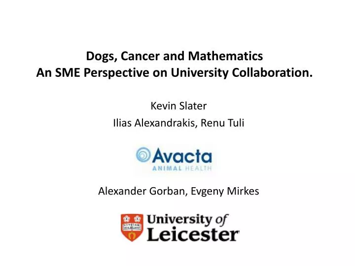 dogs cancer and mathematics an sme perspective on university collaboration