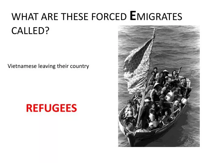 what are these forced e migrates called