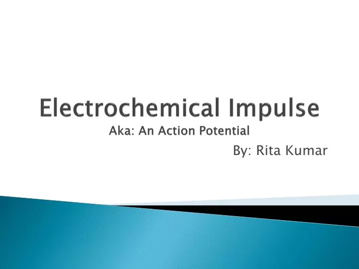 electrochemical impulse aka an action potential