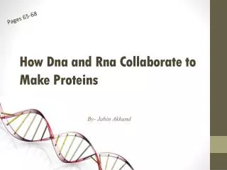 How Dna and Rna Collaborate to Make Proteins