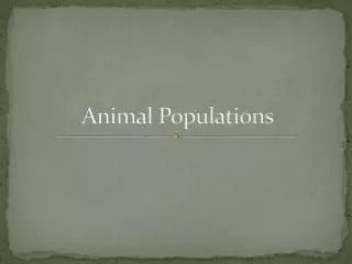 Animal Populations