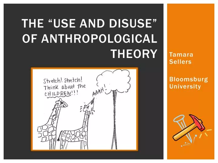 the use and disuse of anthropological theory