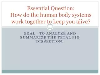 Essential Question: How do the human body systems work together to keep you alive?