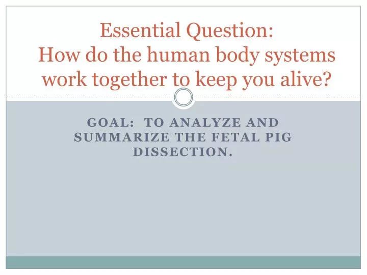 essential question how do the human body systems work together to keep you alive