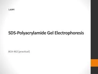 SDS-Polyacrylamide Gel Electrophoresis