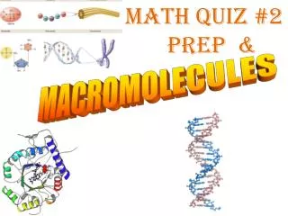 MACROMOLECULES