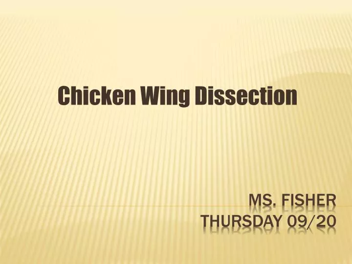 chicken wing dissection