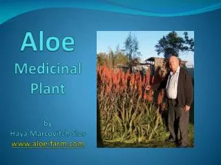 Aloe Medicinal Plant by Haya Marcovitch Slor www.aloe-farm.com