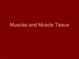 Muscles and Muscle Tissue