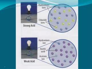 extent to which the acid dissociates determines its strength