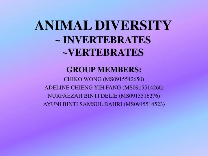 animal diversity invertebrates vertebrates