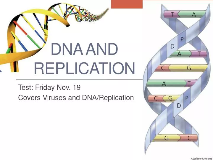 dna and replication
