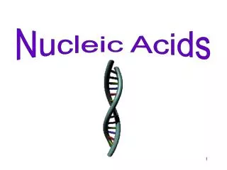 Nucleic Acids