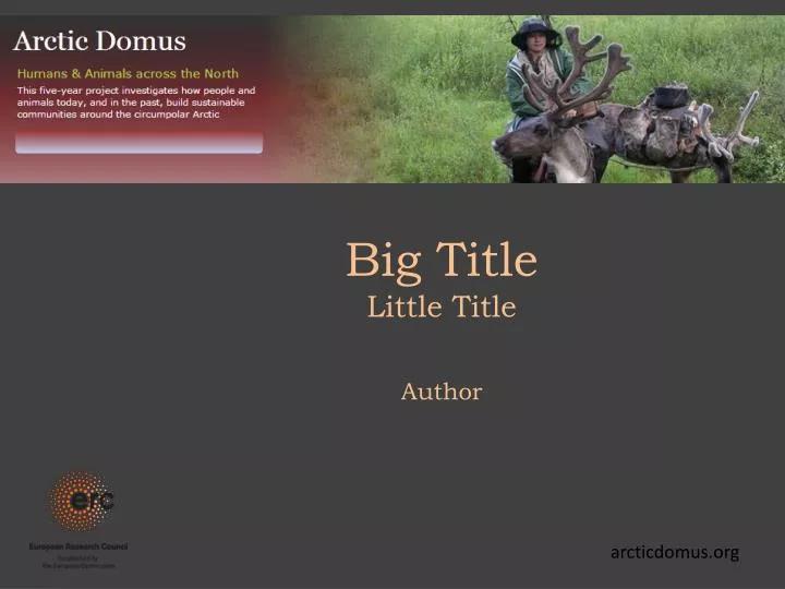 big title little title author