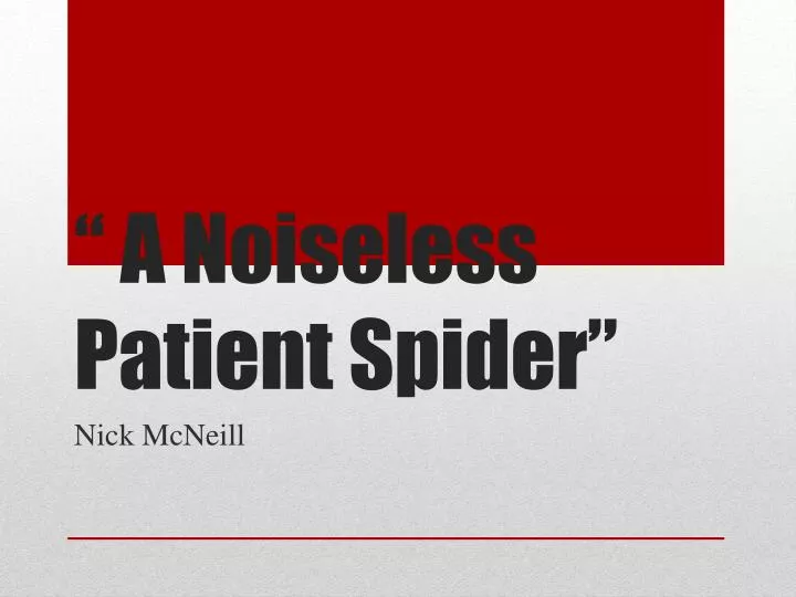 a noiseless patient spider