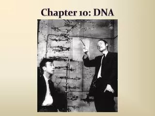 Chapter 10: DNA