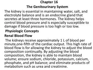 Chapter 16 The Genitourinary System