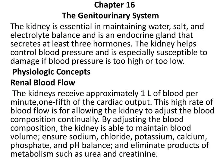 Ppt Chapter The Genitourinary System Powerpoint Presentation Free