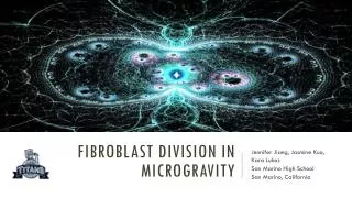 fibroblast Division in Microgravity