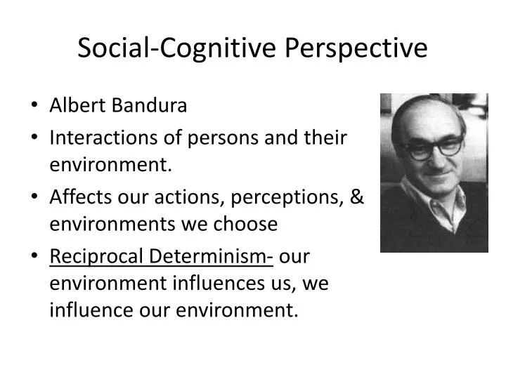 social cognitive perspective