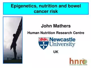 Epigenetics , nutrition and bowel cancer risk