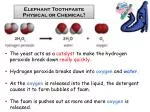 Elephant Toothpaste Physical or Chemical?
