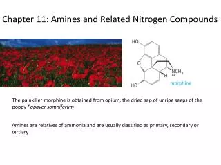 Chapter 11: Amines and Related Nitrogen Compounds