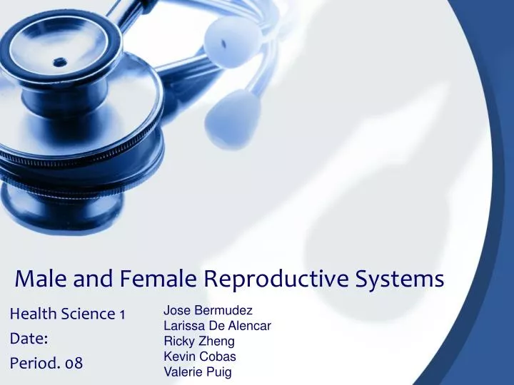 male and female reproductive systems