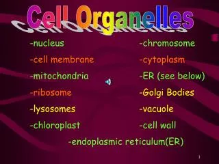 Cell Organelles