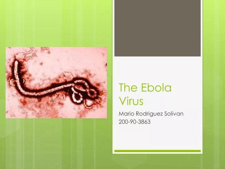 the ebola virus