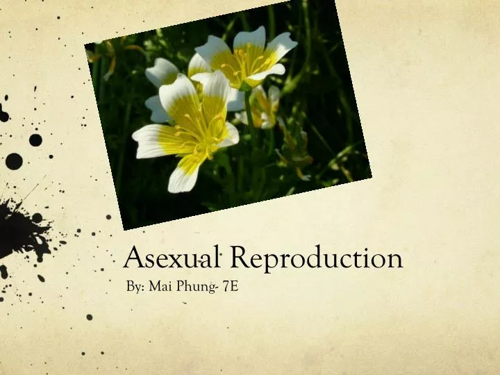 asexual reproduction