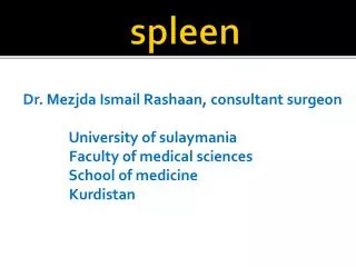 spleen