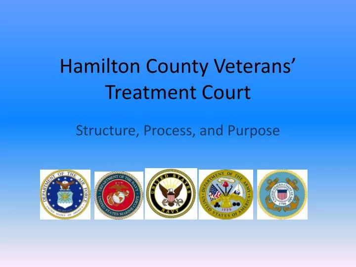 hamilton county veterans treatment court