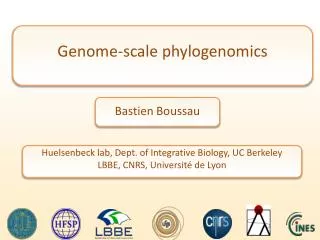 Genome-scale phylogenomics