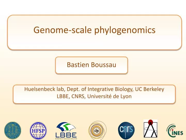 genome scale phylogenomics
