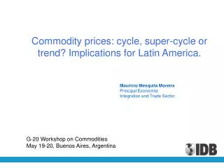 Mauricio Mesquita Moreira Principal Economist Integration and Trade Sector